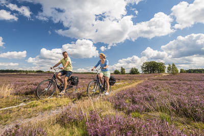 Fahrradfahren in der Lüneburger Heide